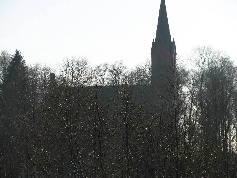 IMG 4481