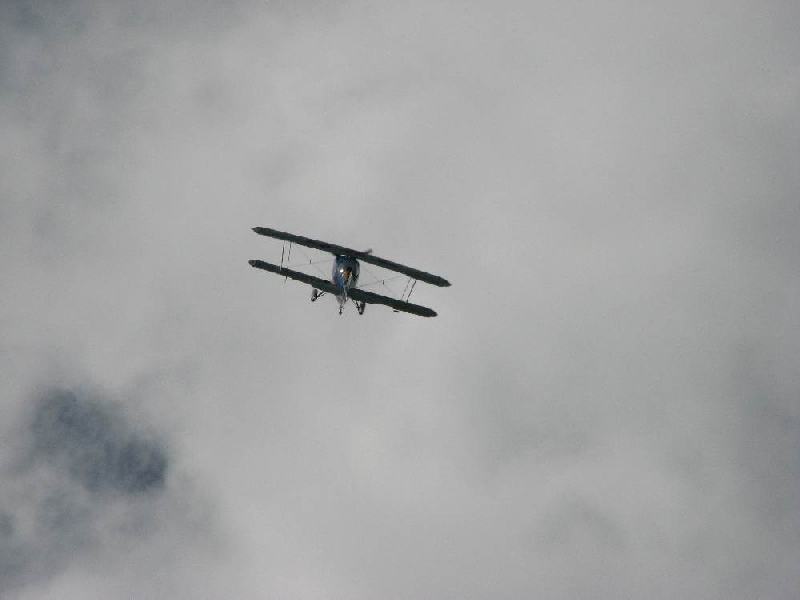 IMG 7343