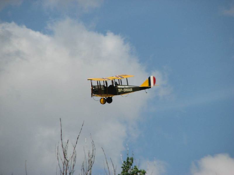 IMG 7461