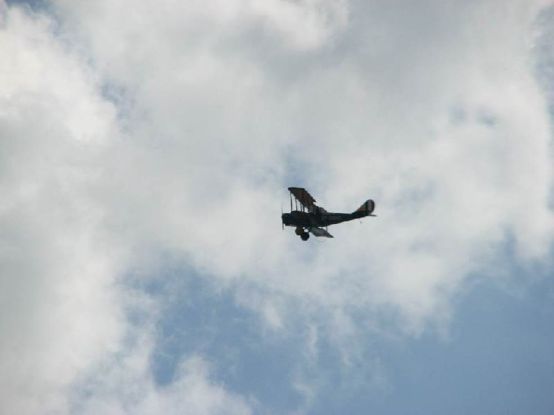 IMG 7495
