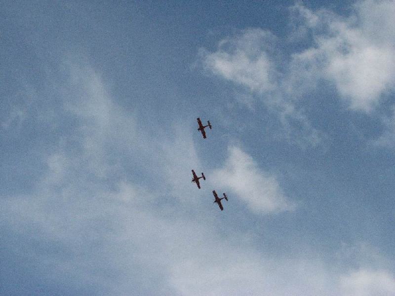 IMG 7668