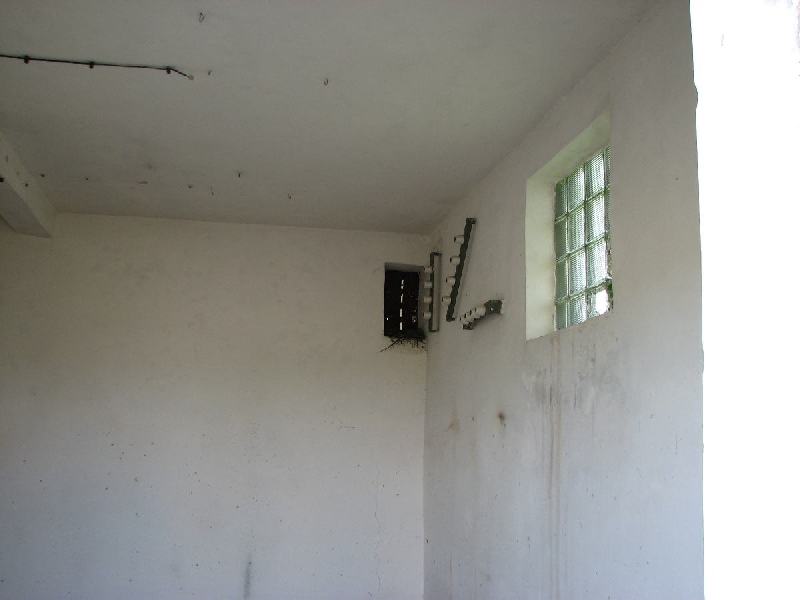 img 0854