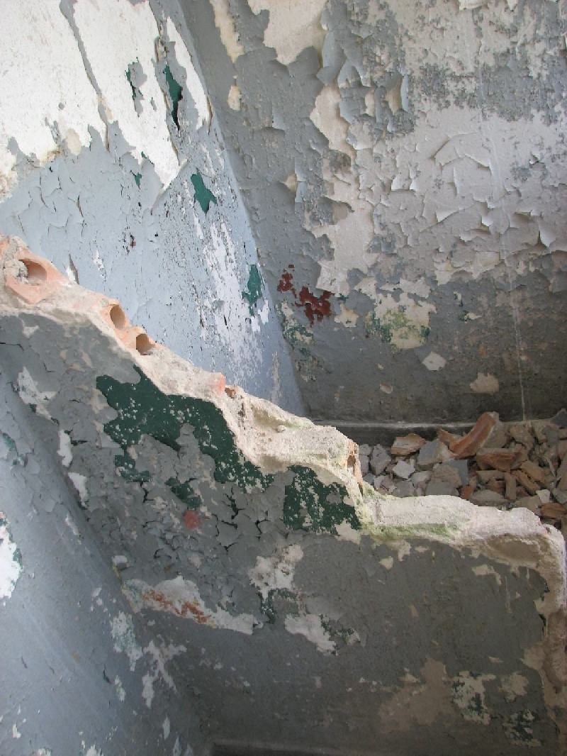 img 0874