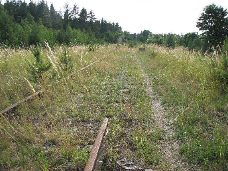 img 0883