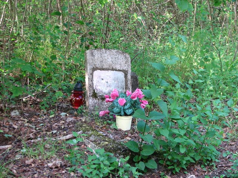 img 0486