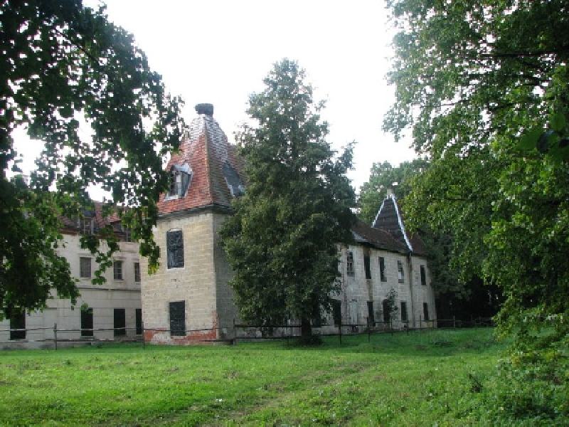 thimg 2582