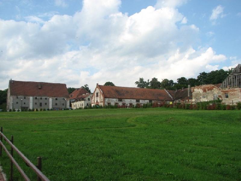 thimg 2585