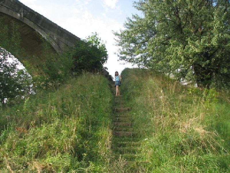 thimg 2778