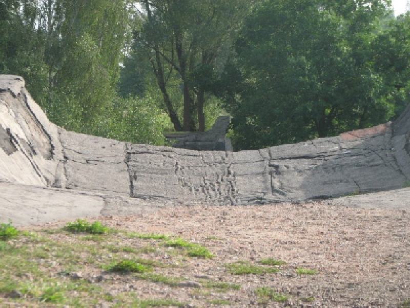 thimg 2789