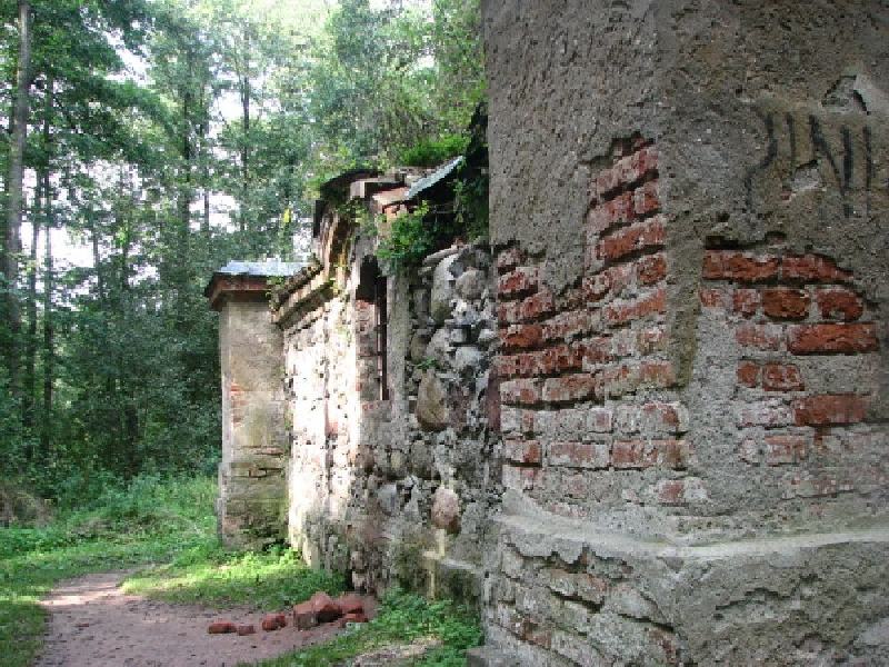 thimg 2849