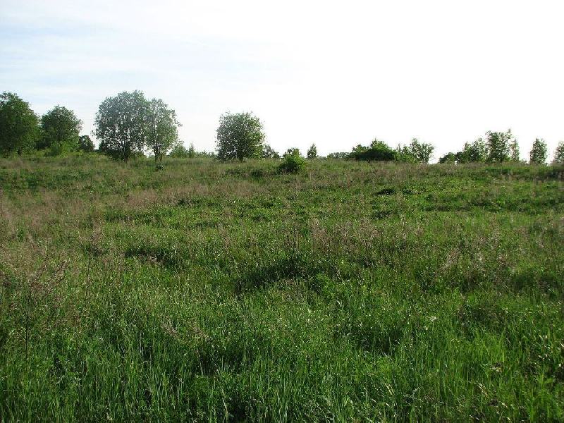 img 0024