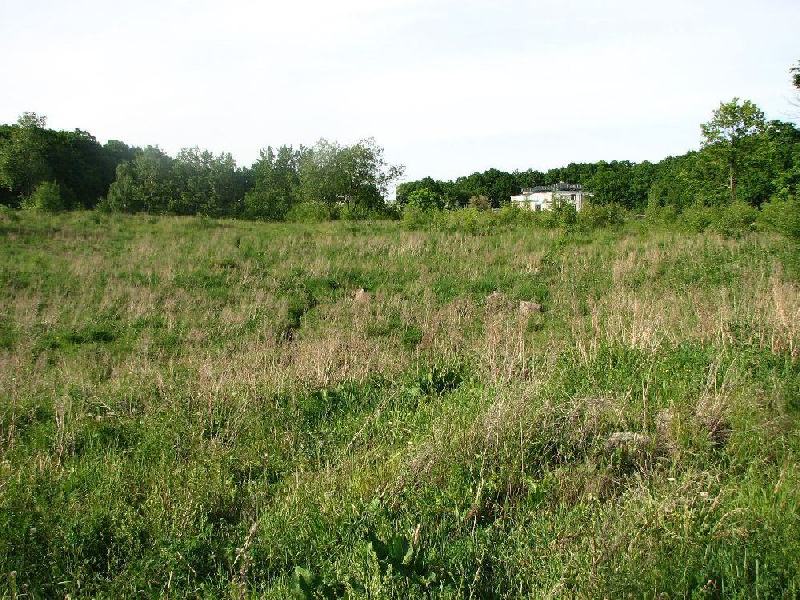 img 0033