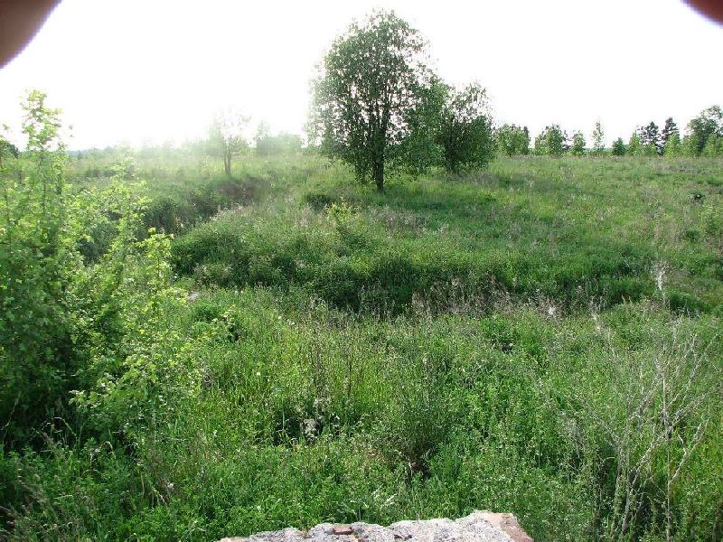 img 0061