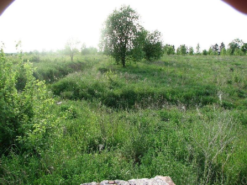 img 0062