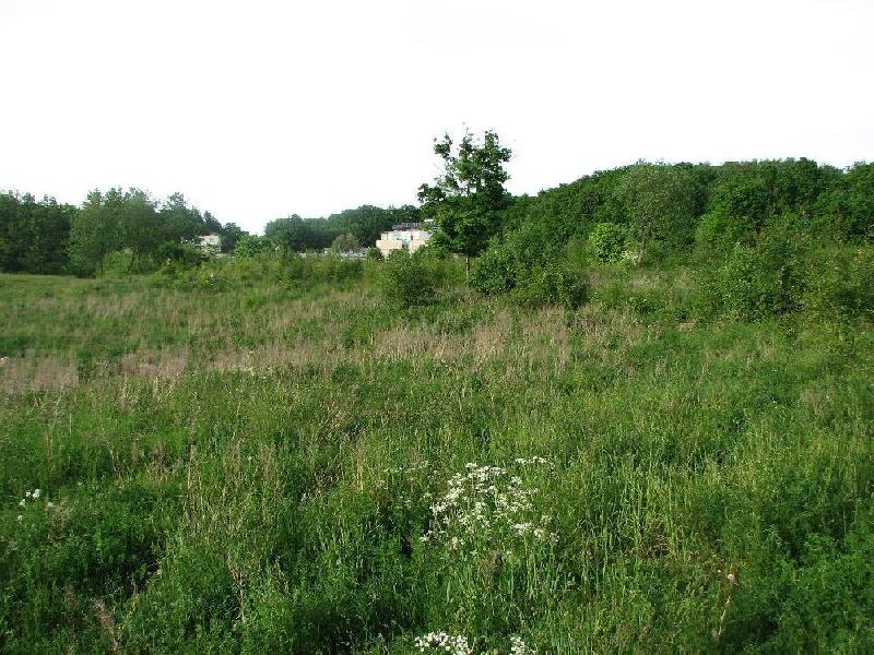 img 0066