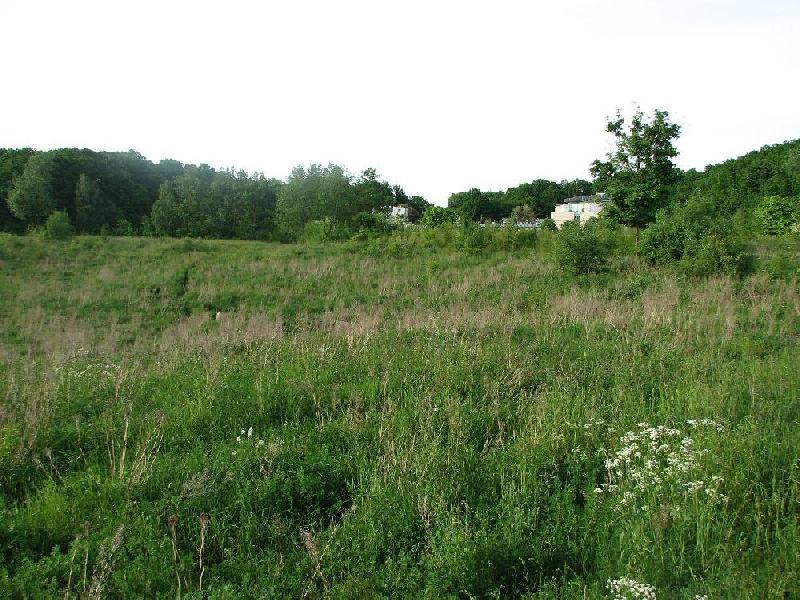 img 0067