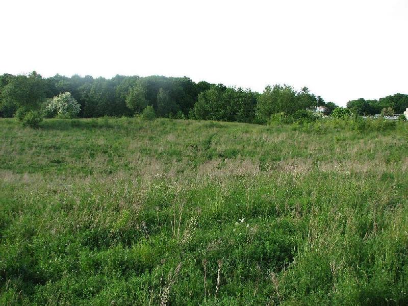img 0068