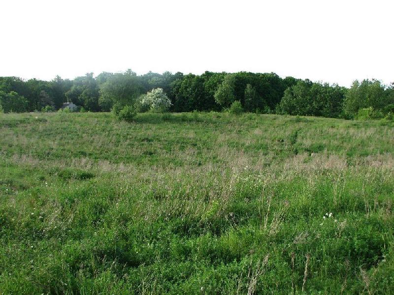img 0069