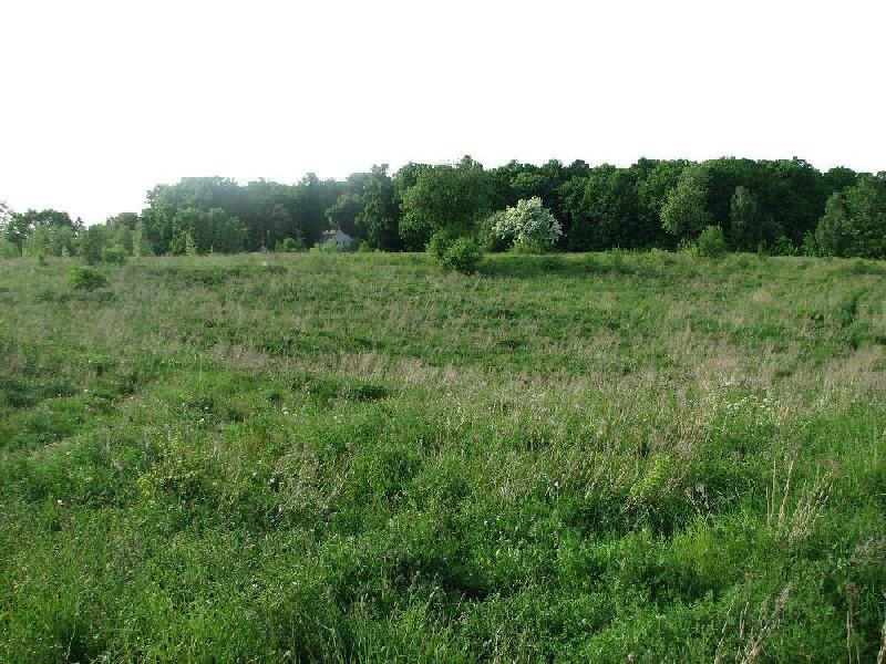 img 0070