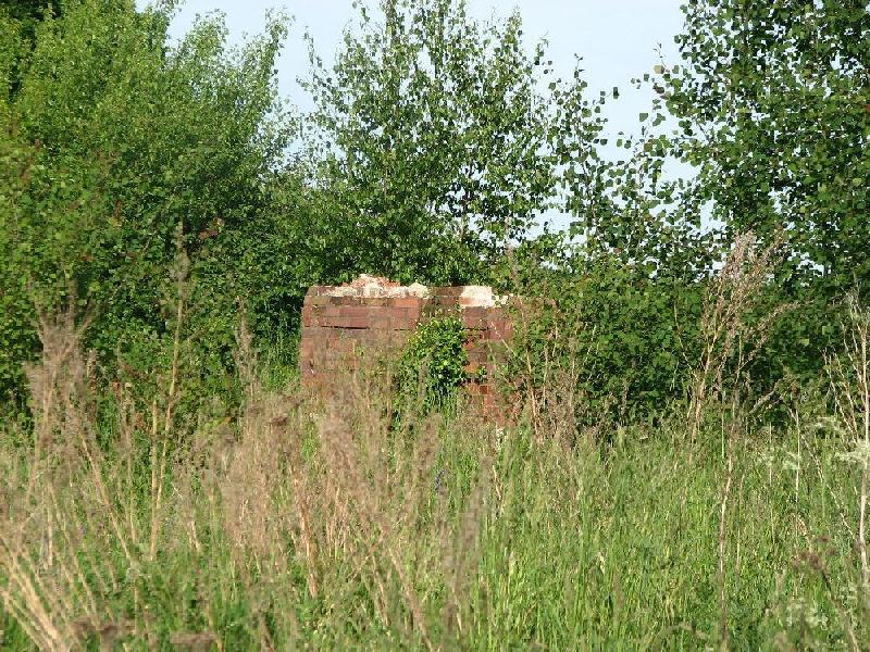 img 0115