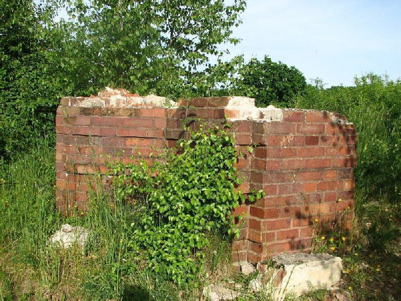 img 0118