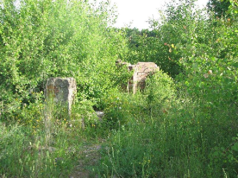 img 0128
