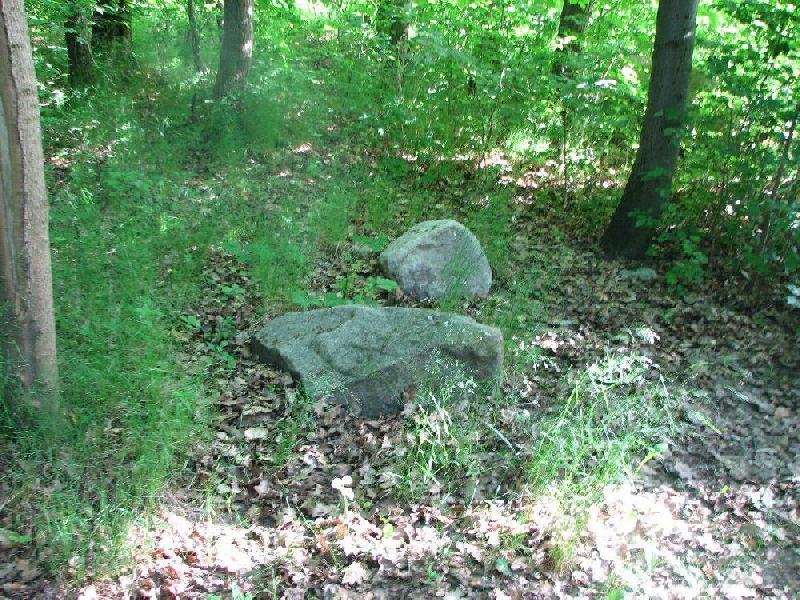 img 0140