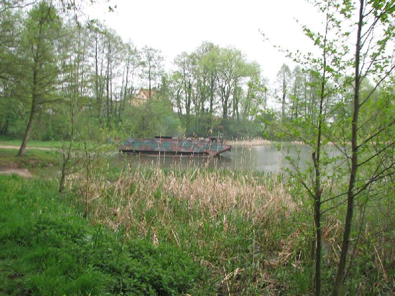 img 3009