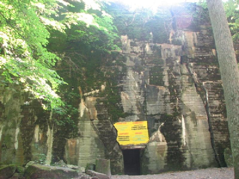 thimg 2467