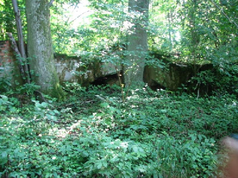 thimg 2512