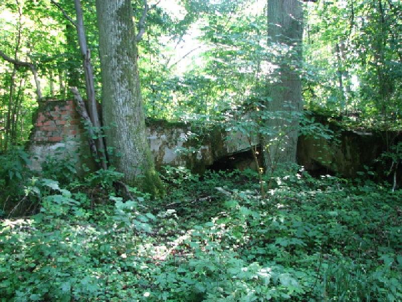 thimg 2513
