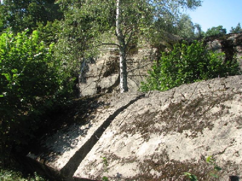 thimg 2525