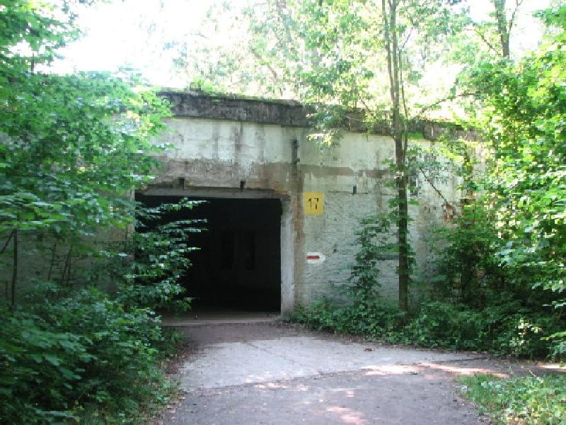 thimg 2536