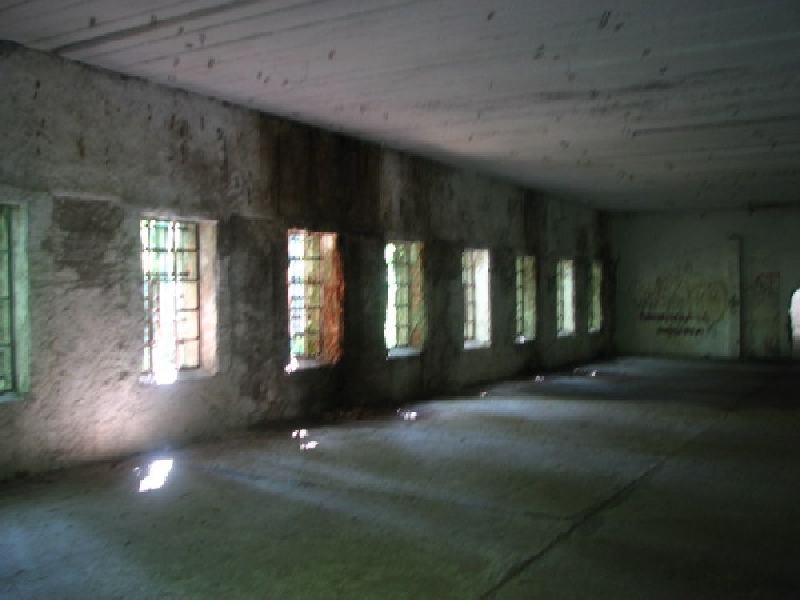 thimg 2540