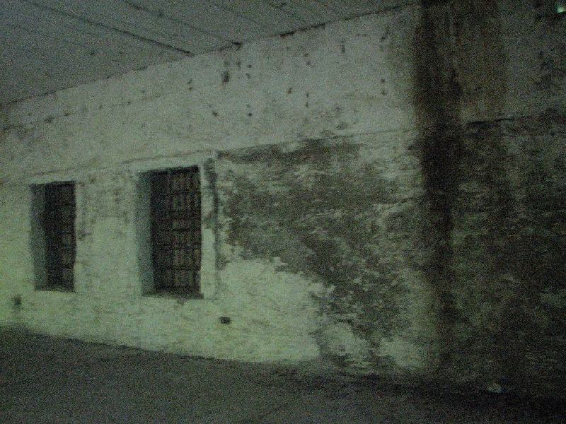 thimg 2542