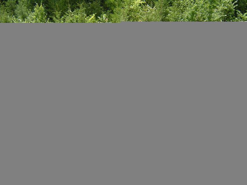 dsc01737