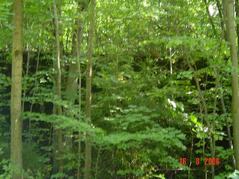 dsc01790
