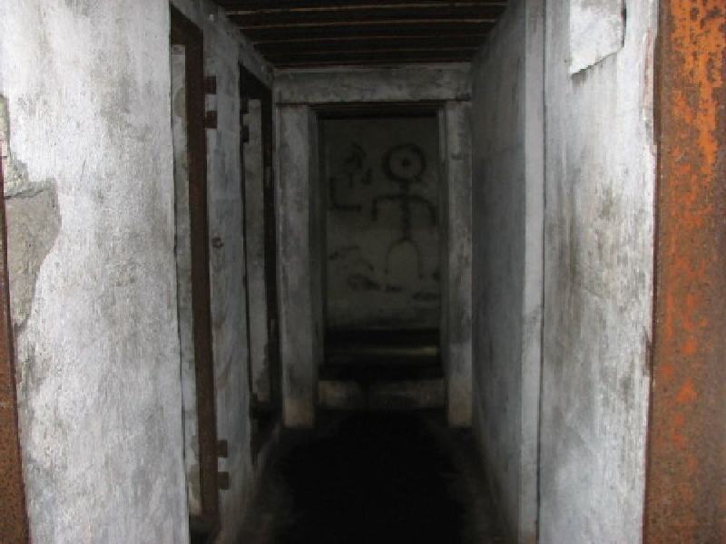 thimg 2600