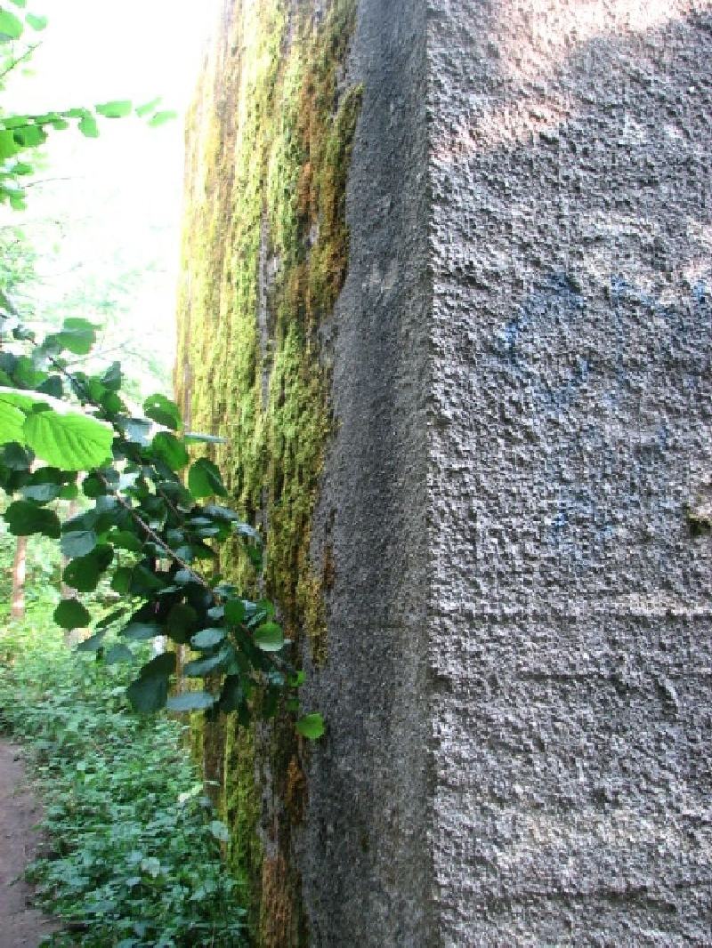 thimg 2604