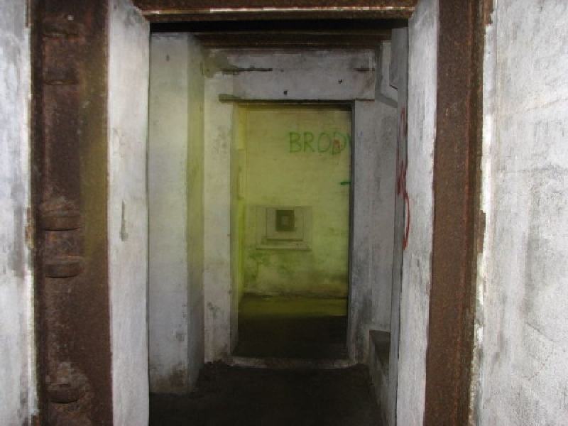 thimg 2611