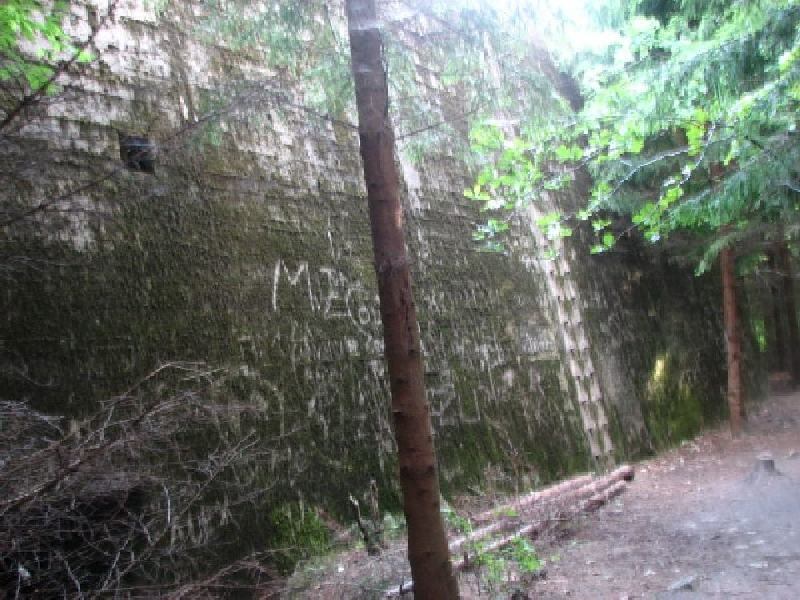 thimg 2630