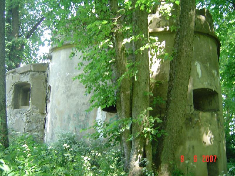 dsc02523