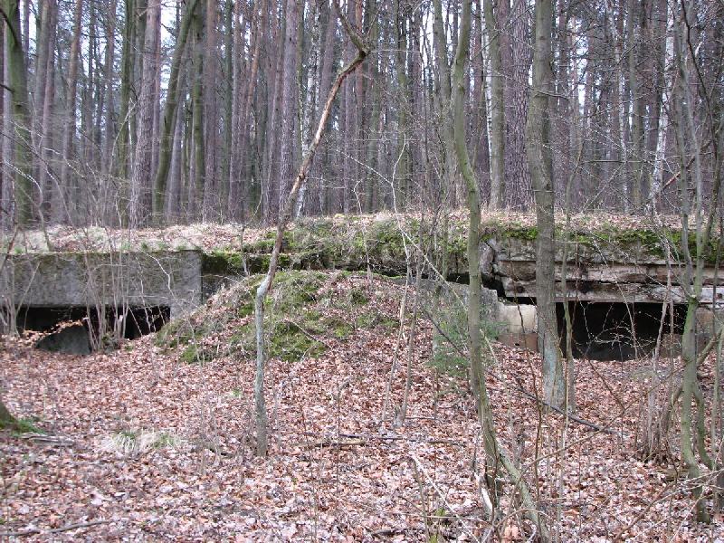 img 2784