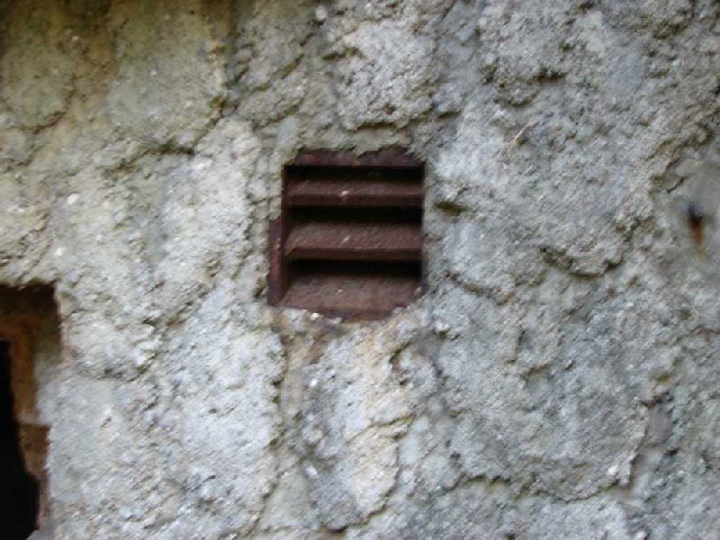 img 1572