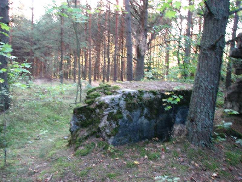 img 1587
