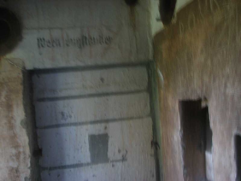 img 1603