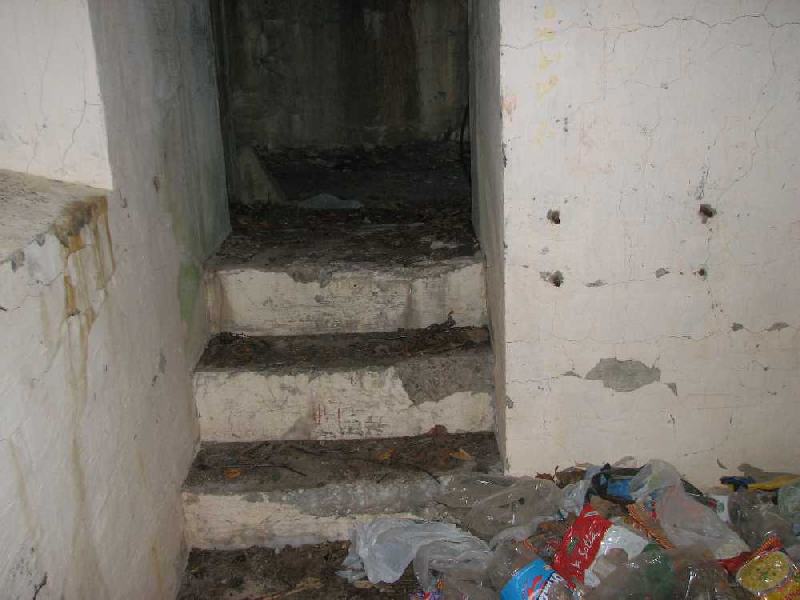 img 1611
