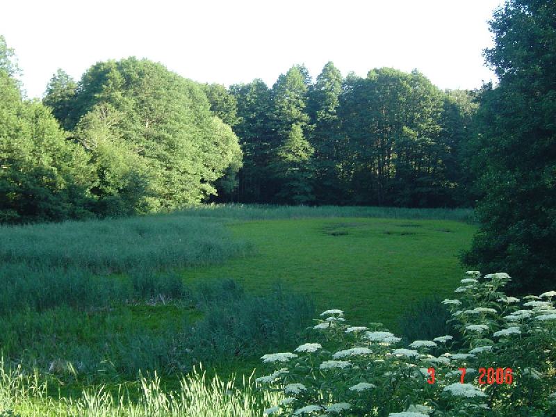 dsc01402