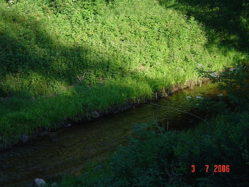 dsc01403