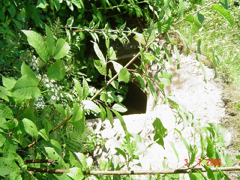 dsc01406